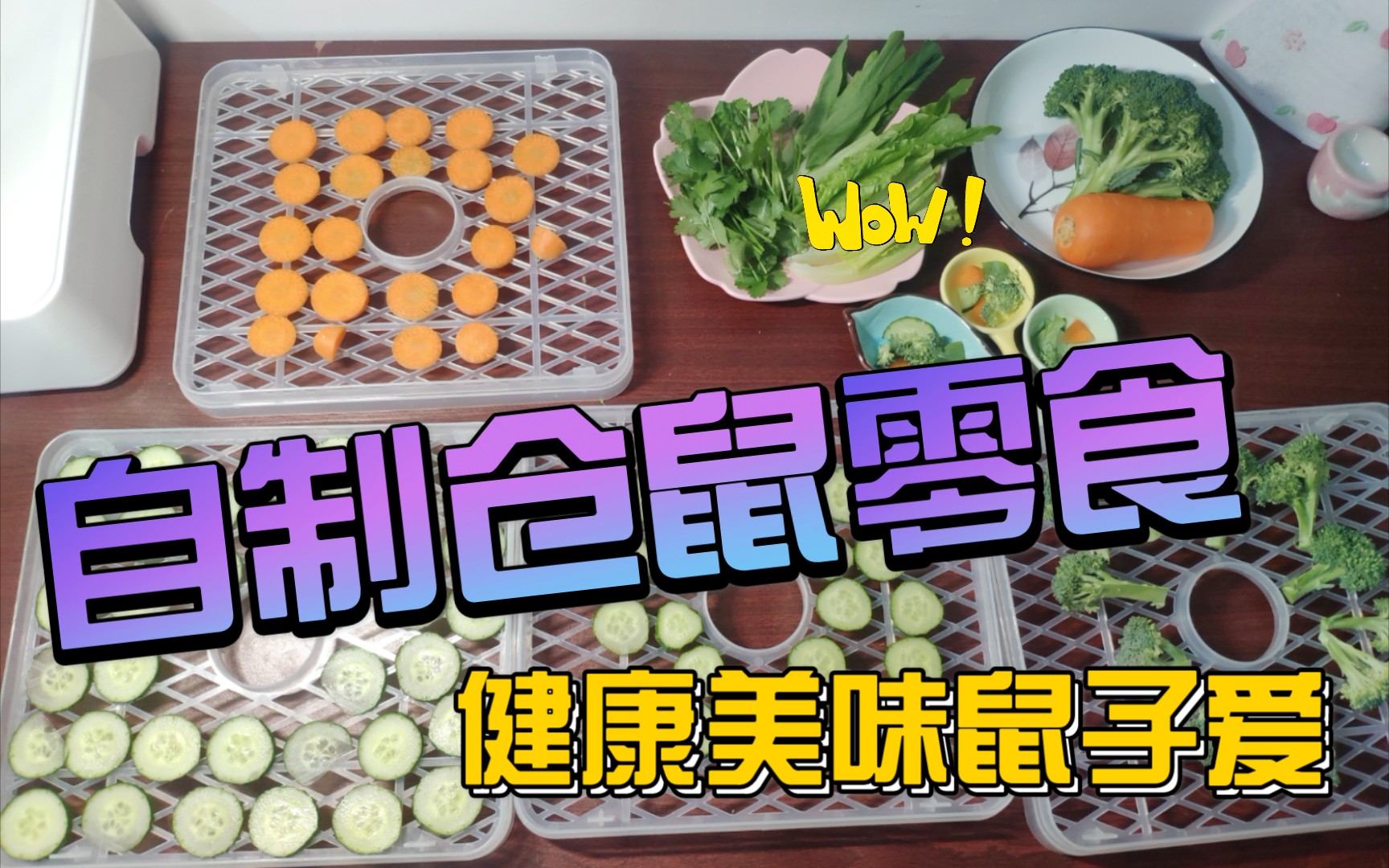 活动作品给仓鼠们做烘干蔬菜仓鼠的健康零食