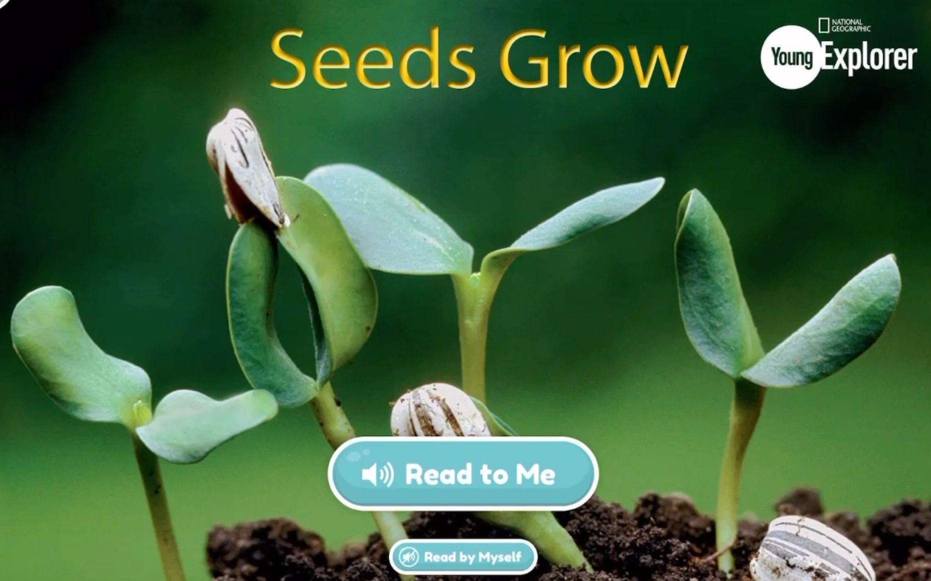 Seeds Grow | 国家地理少儿英语读物哔哩哔哩bilibili