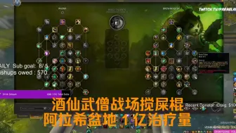 Download Video: 【魔兽世界 11.0 前夕】酒仙武僧一亿治疗量 冷门职业天赋搅屎棍玩法