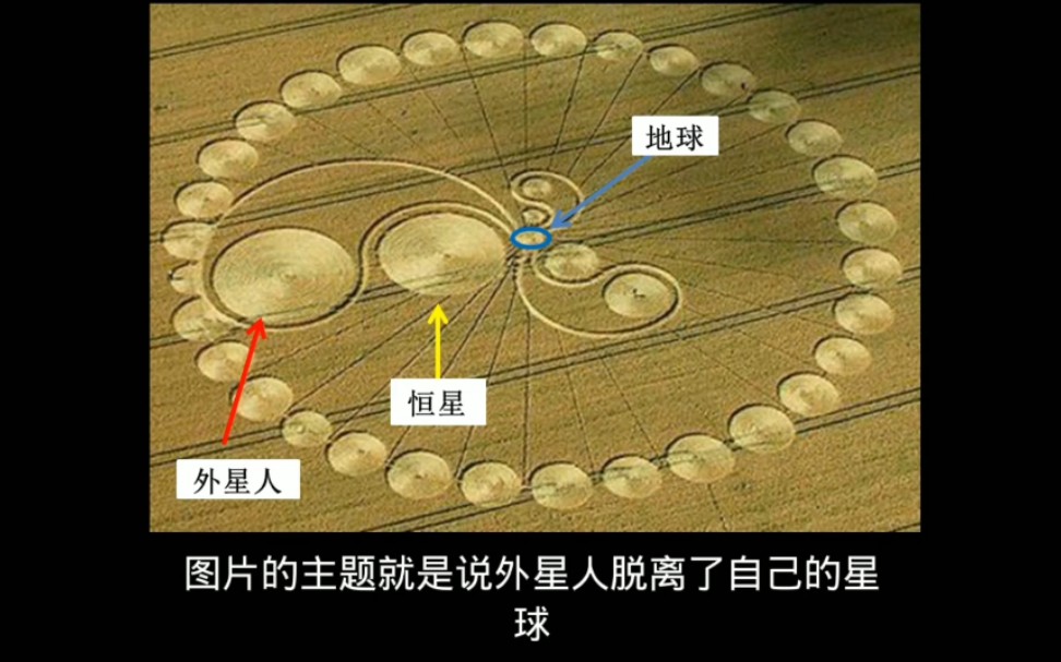 麦田怪圈破译图片