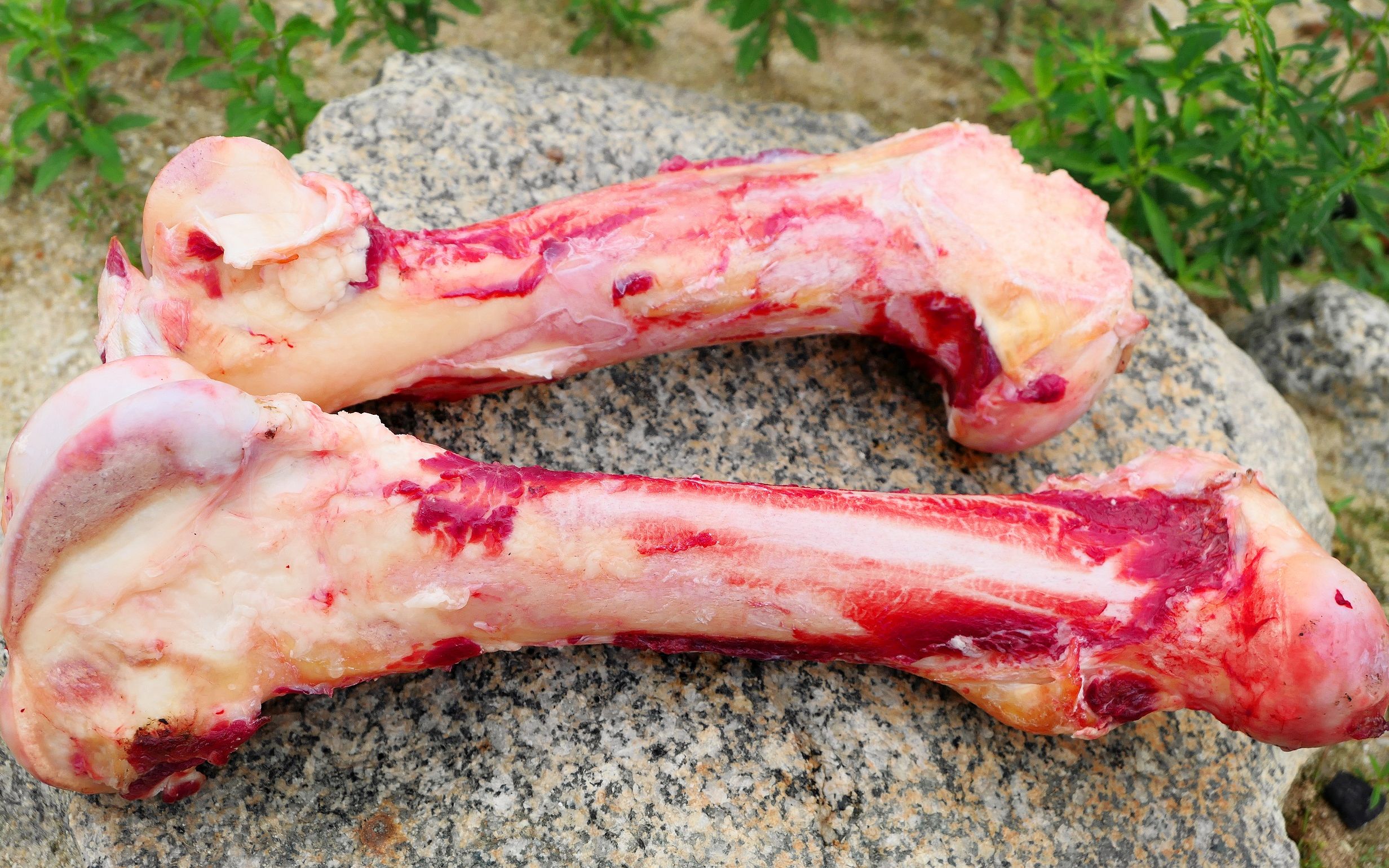 【探野】真正的碳烤牛骨髓原来是这样的,味道浓郁入口即化,但是非常