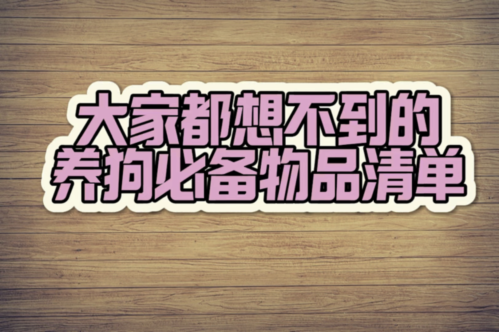 大家都想不到的养狗必备物品清单哔哩哔哩bilibili