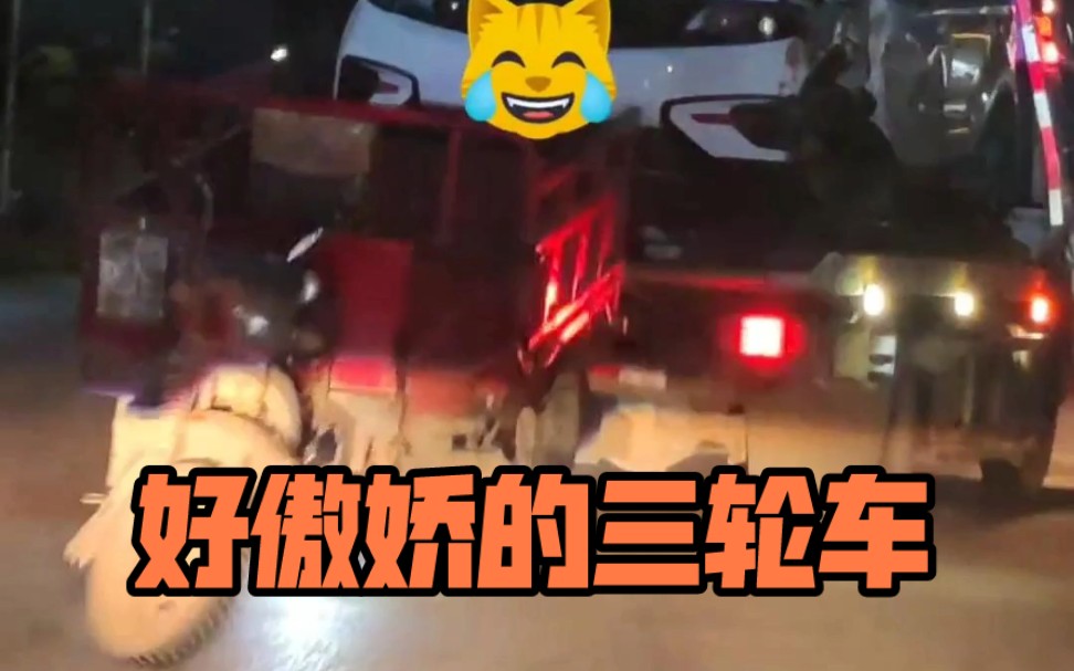 [图]三轮车：让我上去好不好嘛