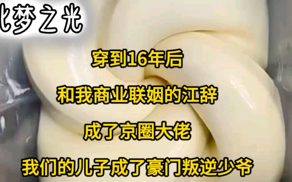 穿到16年后,和我商业联姻的江辞成了京圈大佬,我么了的儿子成了豪门叛逆少爷………哔哩哔哩bilibili