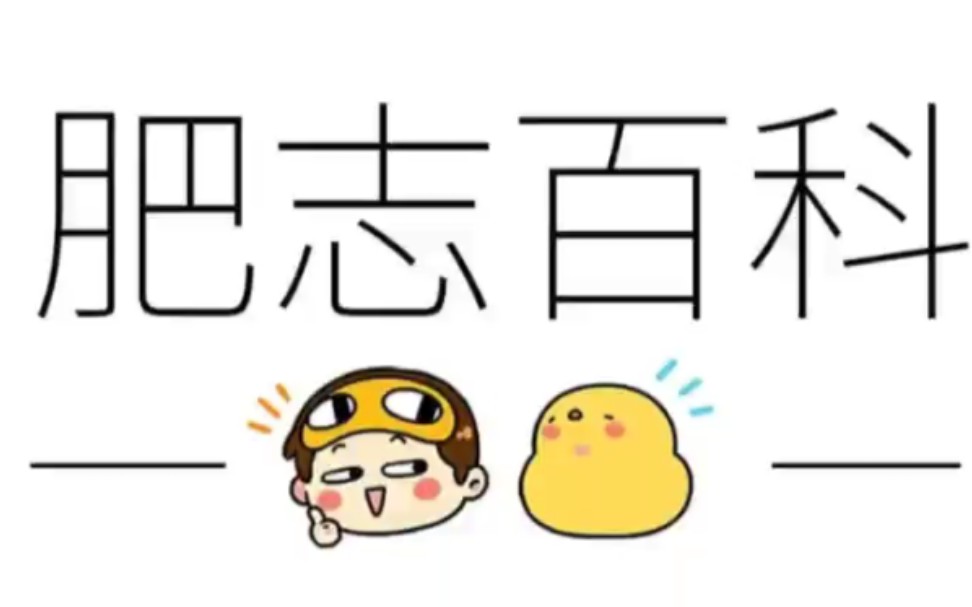 肥志百科哔哩哔哩bilibili