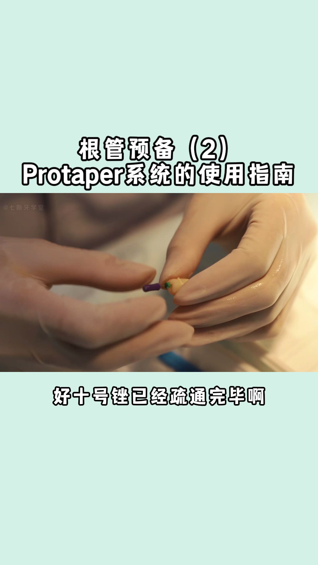 根管预备 protaper系统的使用指南哔哩哔哩bilibili