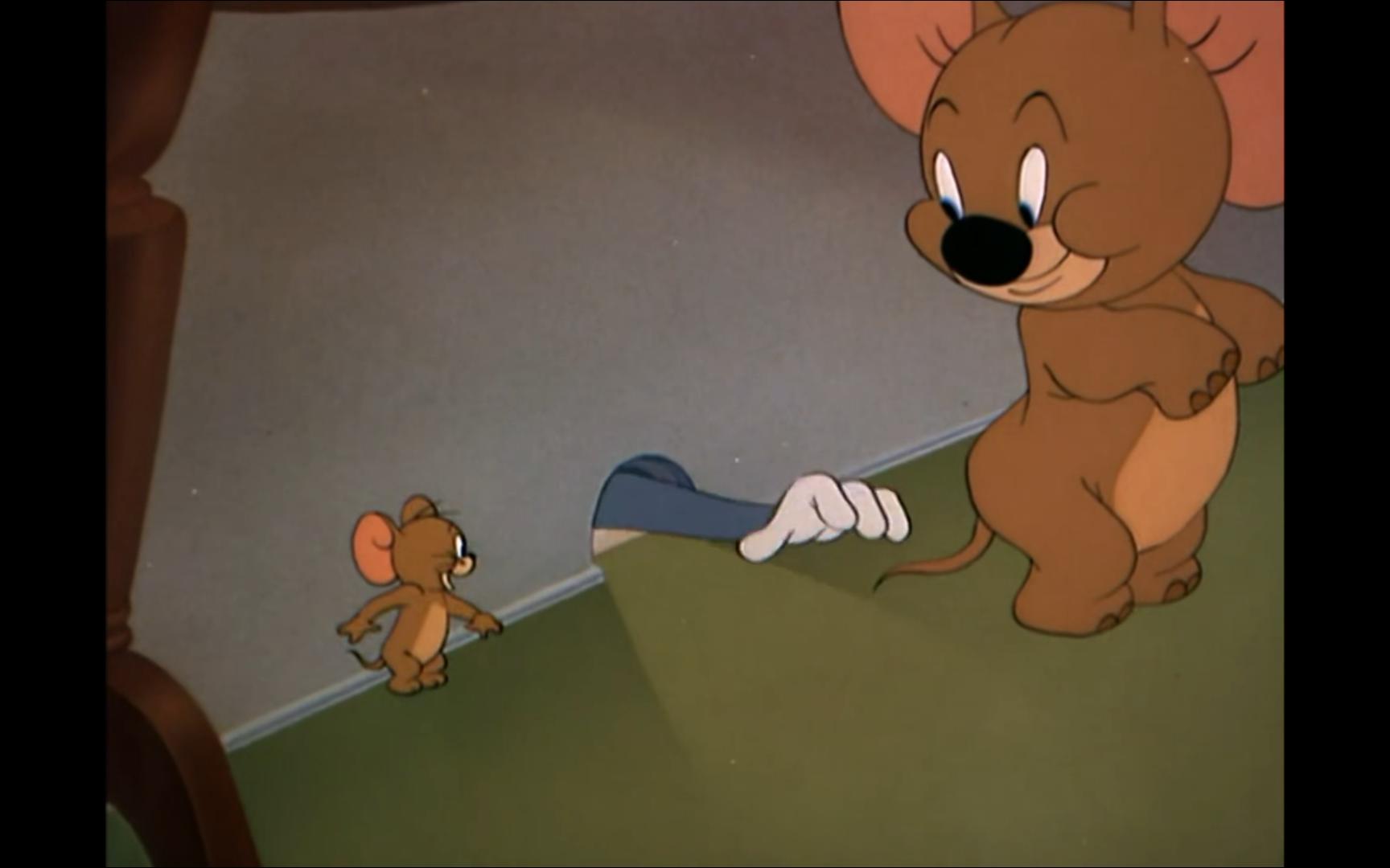 【老鼠和小飞象】猫和老鼠超清修复