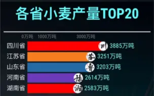 Télécharger la video: 各省小麦产量排行top20