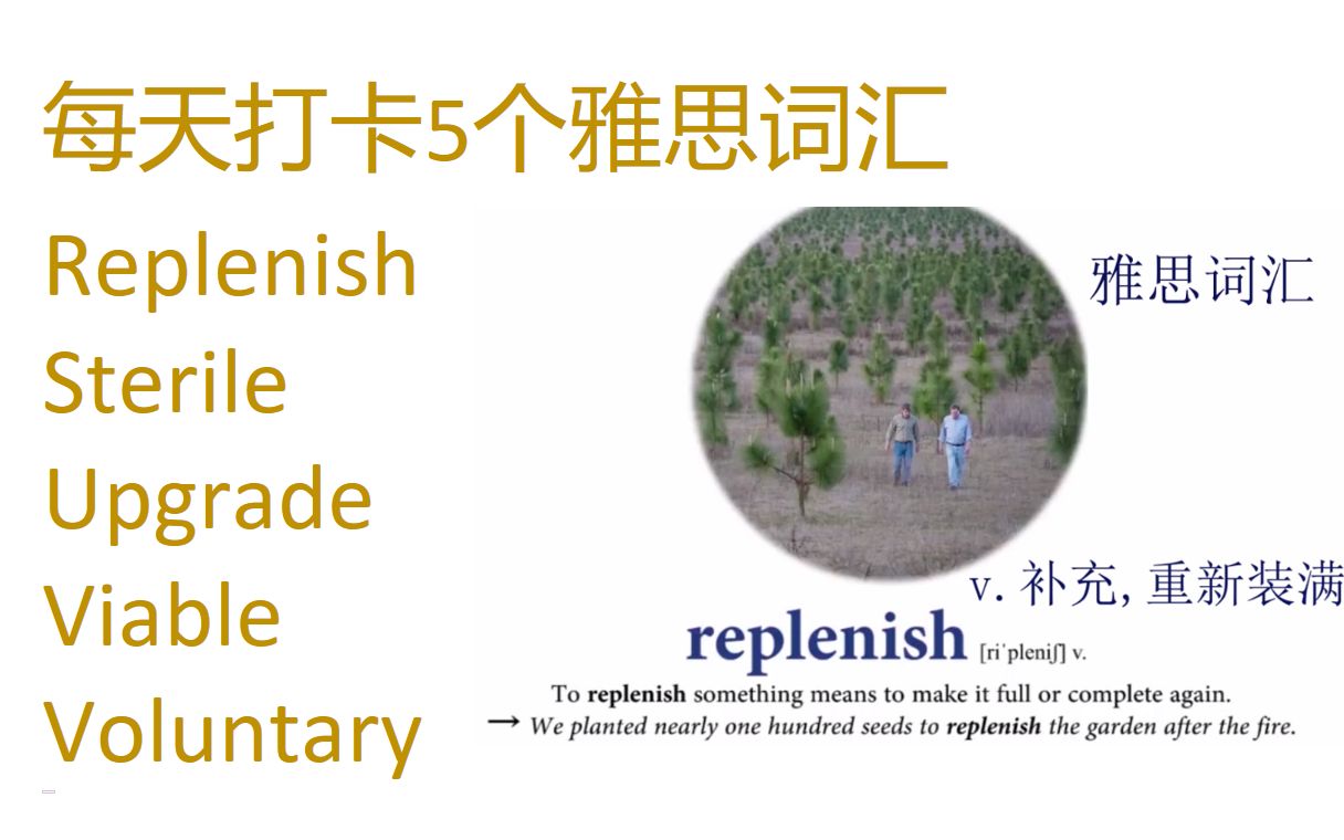 每天打卡5个雅思词汇 replenish, sterile, upgrade, viable, voluntary.哔哩哔哩bilibili