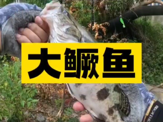 雪糕刚放到嘴里就上鱼了