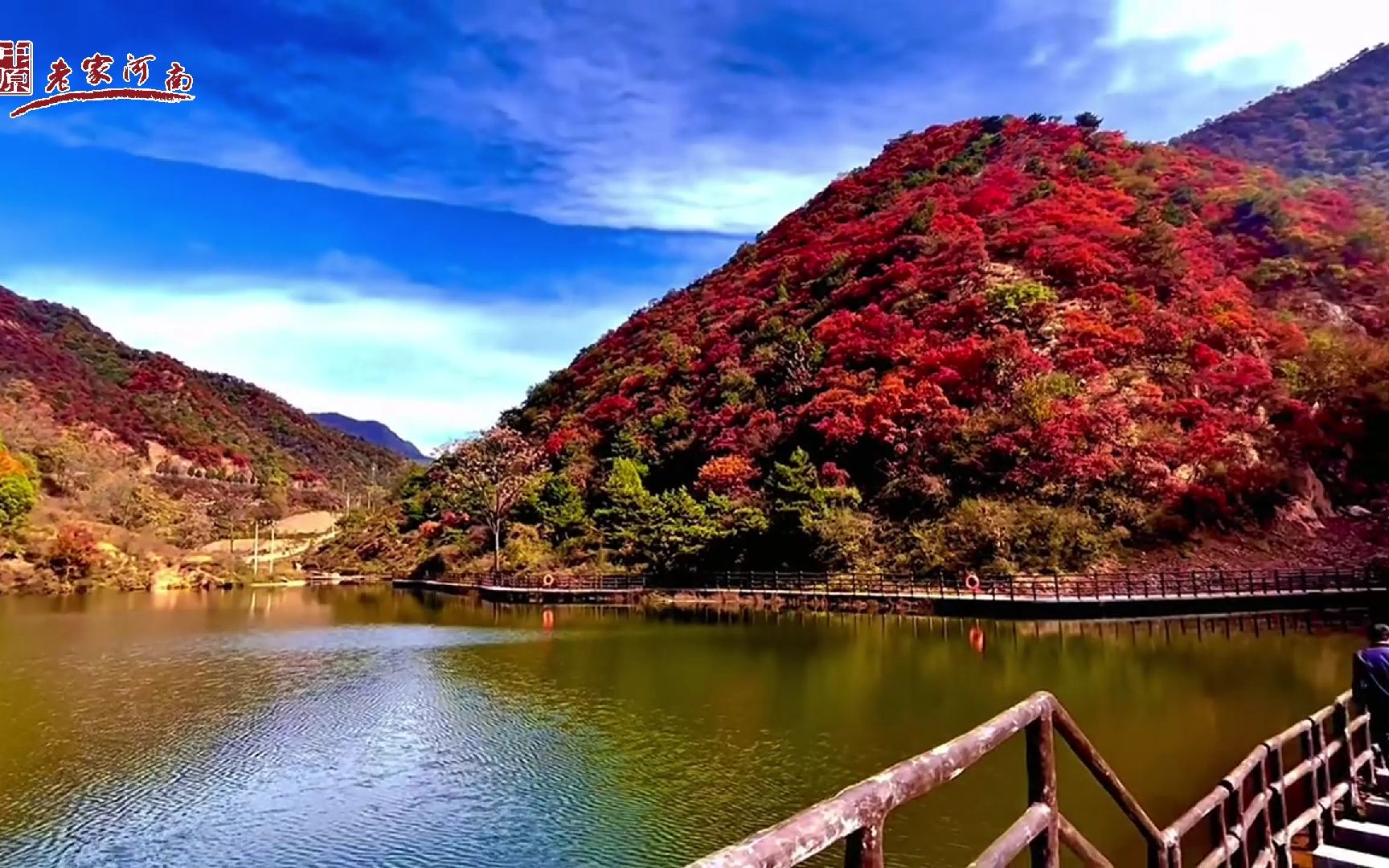 行走河南·读懂中国 | 来王屋山邂逅漫山遍野的浪漫.