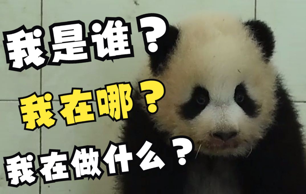 小宝贝睡懵了,一分钟都没有缓过神