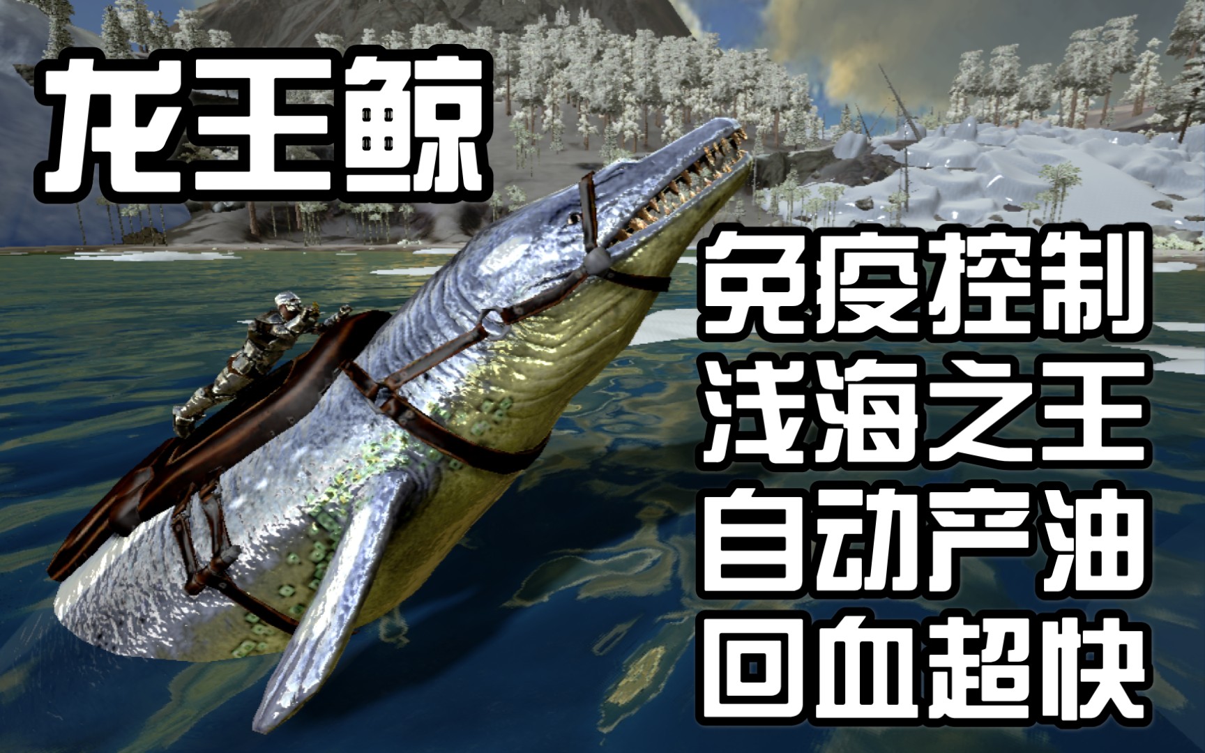 沧龙vs龙王鲸图片