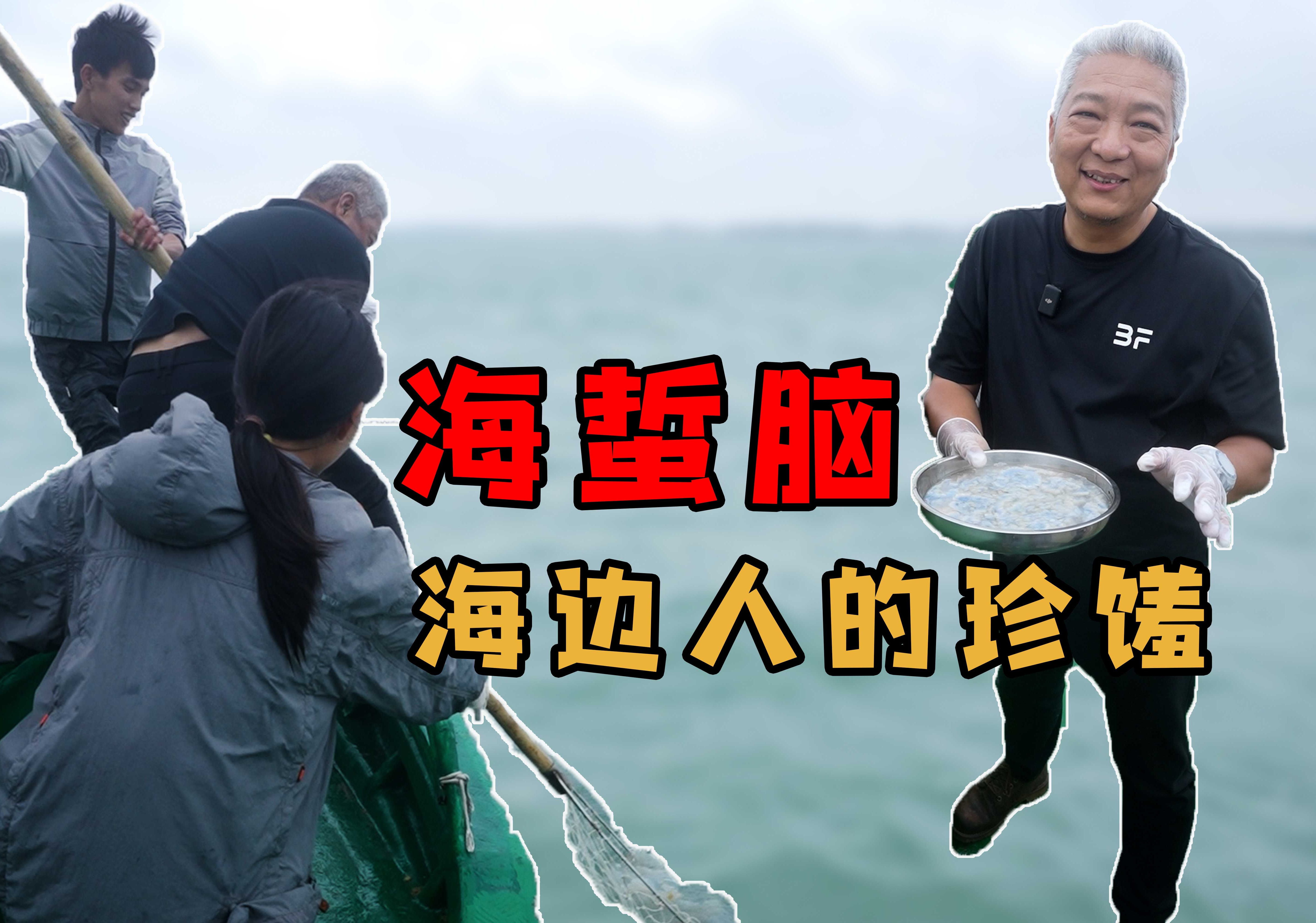 【上青杰哥】少数海边人才懂得的海鲜珍馐—海蜇脑哔哩哔哩bilibili