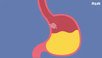 小学科学实验——食物在体内的旅行