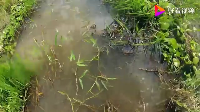 [图]荒野：苍天不负有心人，德爷终于找到自己需要的东西了，太幸运了