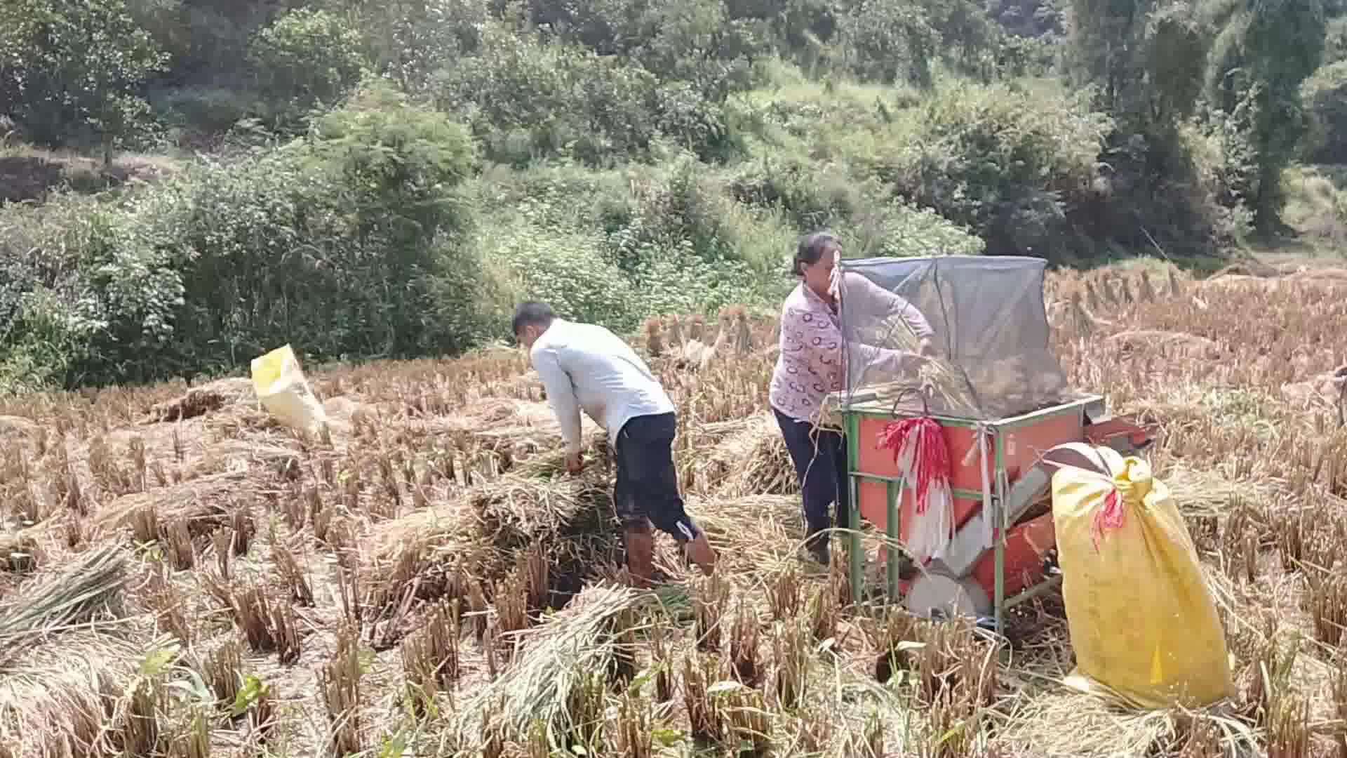 [图]谁知盘中餐，粒粒皆辛苦，农民节省是有原因的