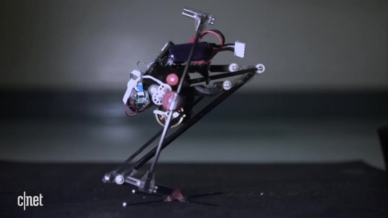 salto一只可爱的单脚跳跃机器人指哪儿跳哪儿