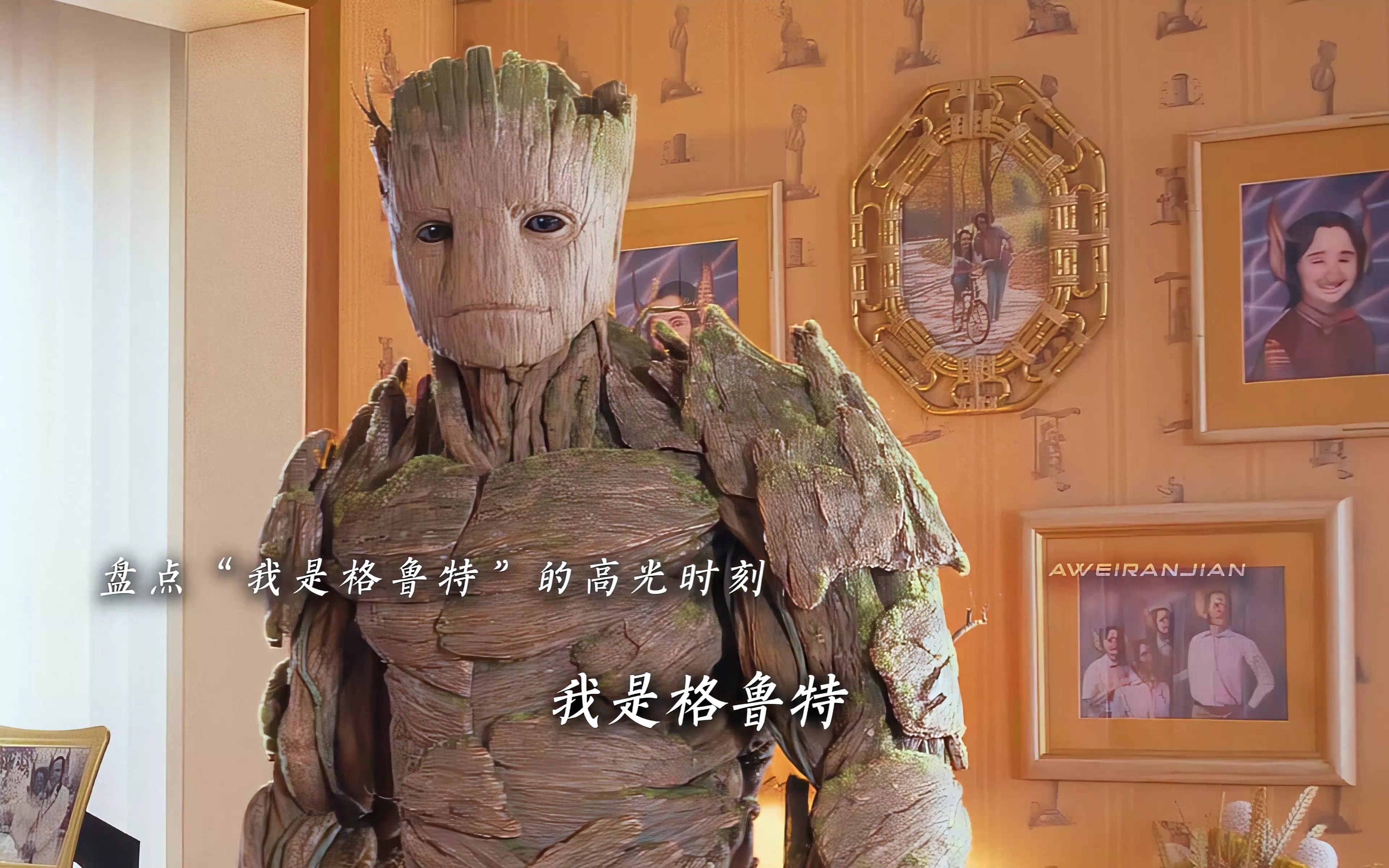 I am Groot!(我是格鲁特)哔哩哔哩bilibili