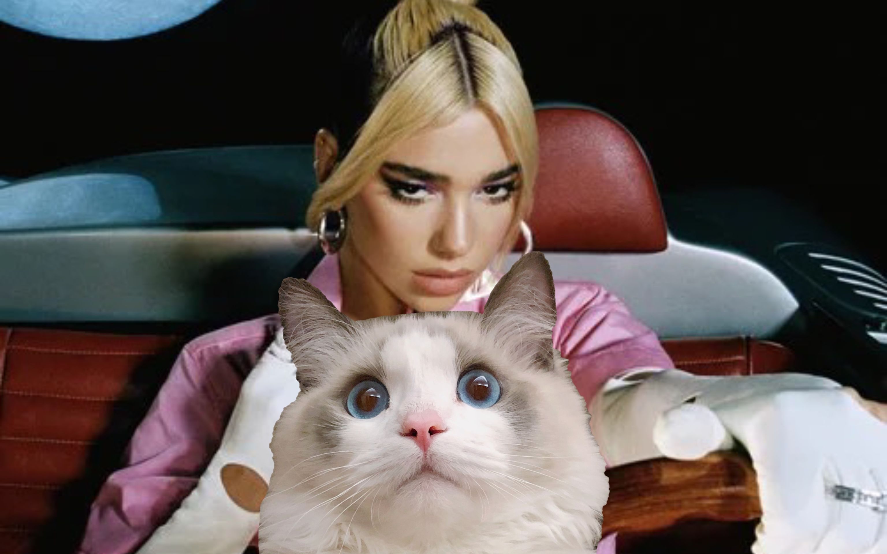 6分钟学唱啪姐dua lipa迪斯科热单《levitating》