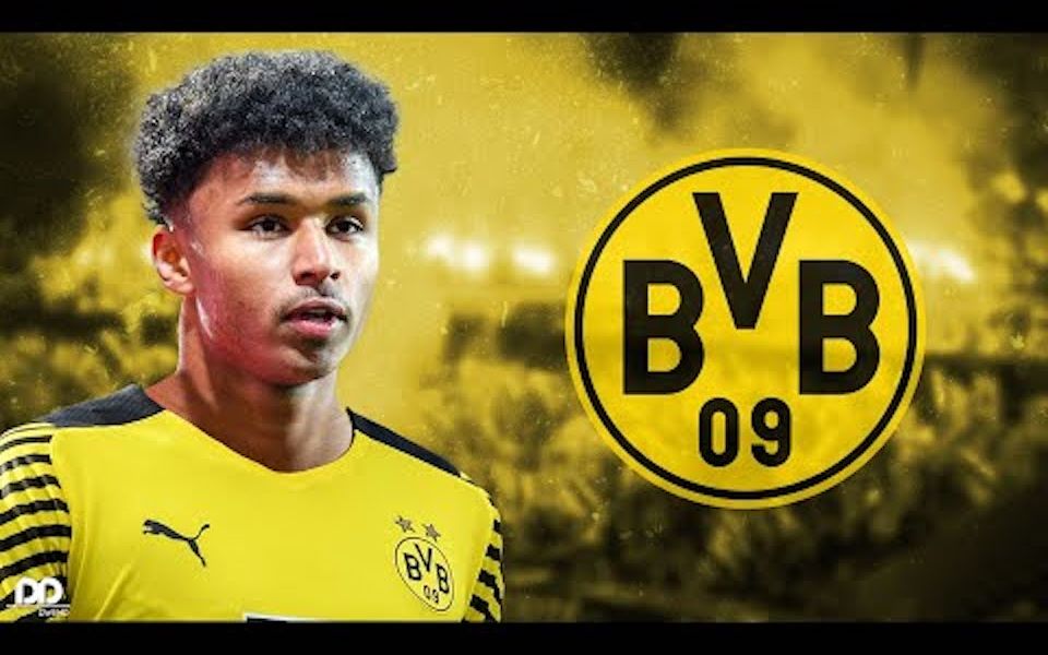 【这就是为什么多特蒙德想要卡里姆ⷩ˜🥾𗨀𖧱𓰟”壀‘This is Why Borussia Dortmund Signed Karim Adeyemi!哔哩哔哩bilibili