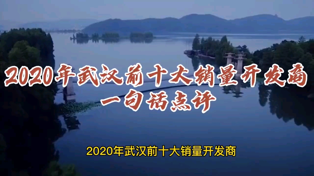 2020年武汉前十大销量开发商一句话点评哔哩哔哩bilibili