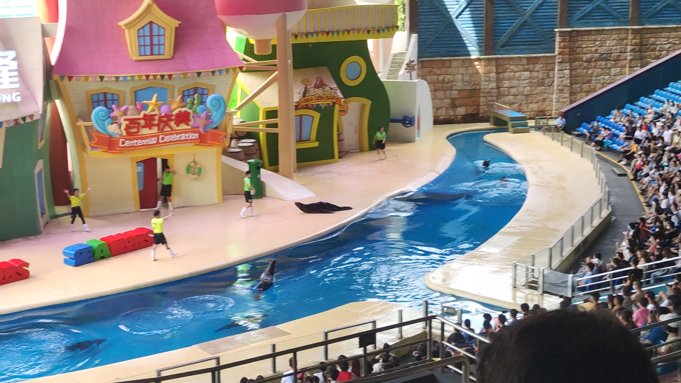 长隆海洋馆海狮表演～随手录