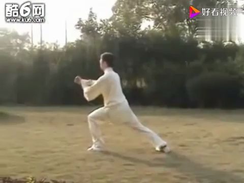 [图]85式杨式太极拳（带口令背面演示）