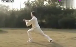 杨式太极拳 哔哩哔哩 Bilibili