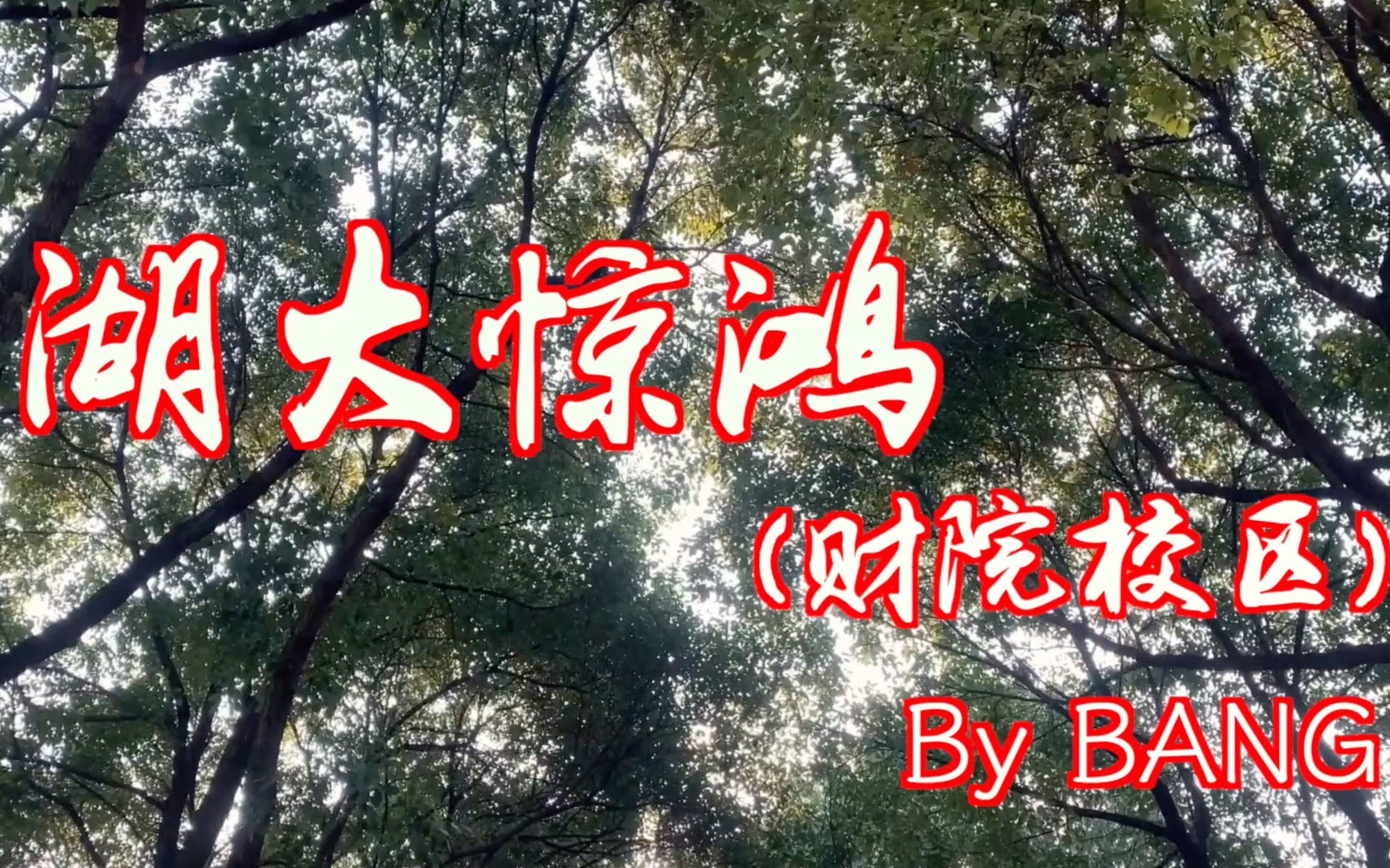 【校园Vlog】| 湖大惊鸿(财院校区) 震撼上线!!!(湖南大学财院校区) 莞晨ProCess哔哩哔哩bilibili