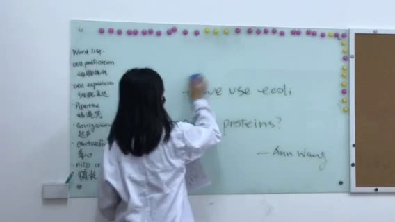 ＂How do we use E. Coli to express proteins＂ 合肥一中美国高中 Ann哔哩哔哩bilibili