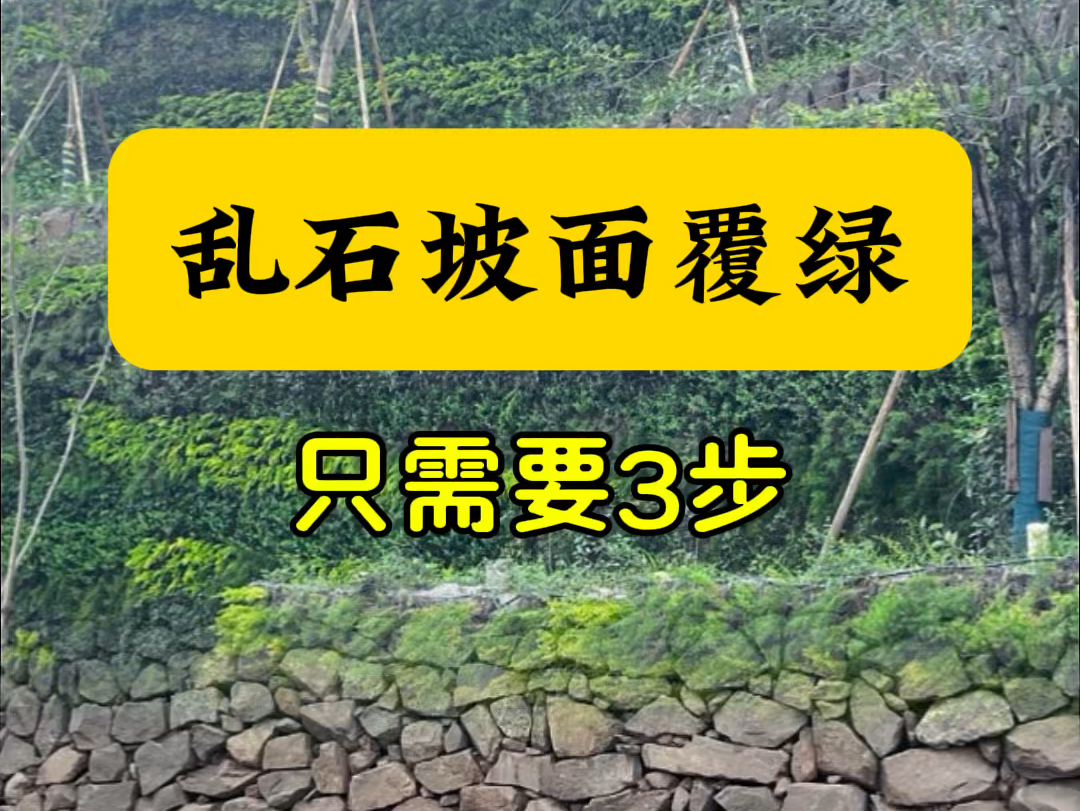 做绿化项目,想要效果好,成本低,施工又快,就用我们宏土板材吧,我们有独一无二的水泥铺贴工艺.#垂直绿化#生态修复#边坡绿化#护坡绿化#固化纤维...