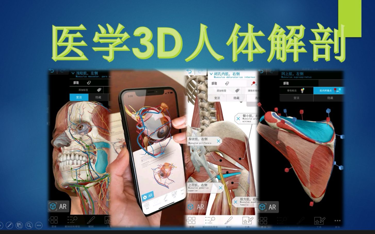 [图]【软荐8】医学3D人体解剖软件，医学科普