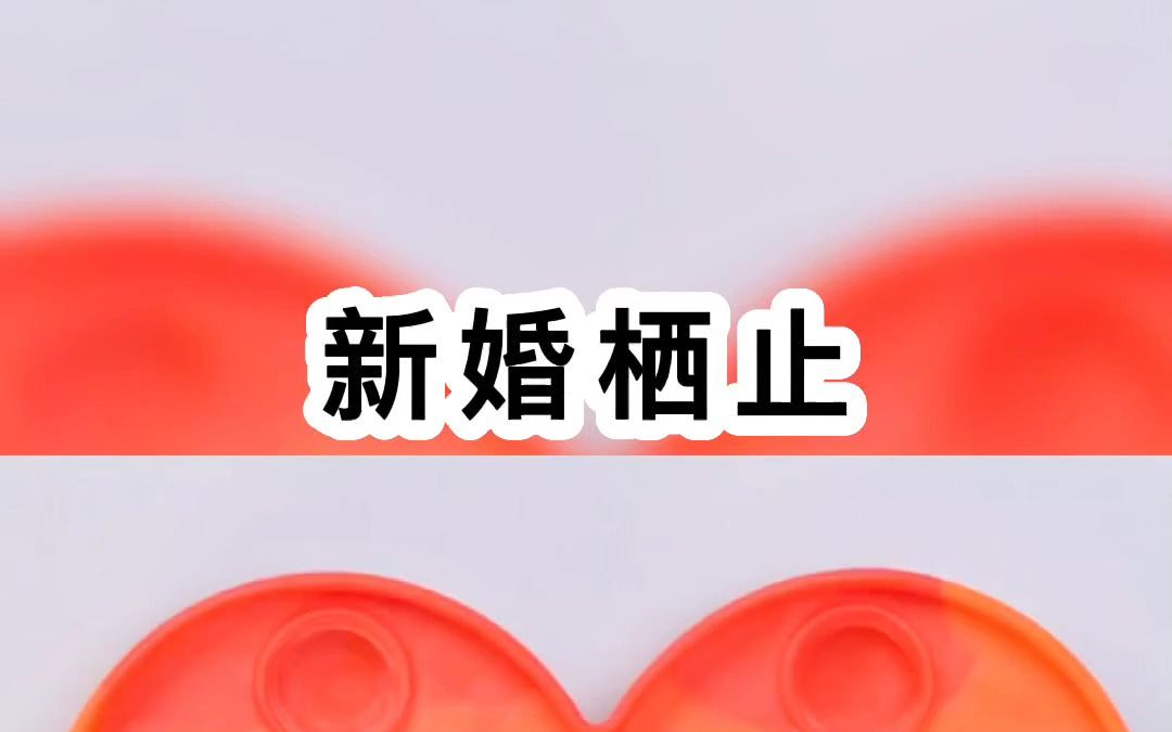 新婚栖止哔哩哔哩bilibili