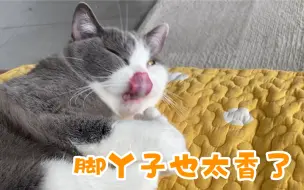 Download Video: 乐于分享的小猫请你吃jio