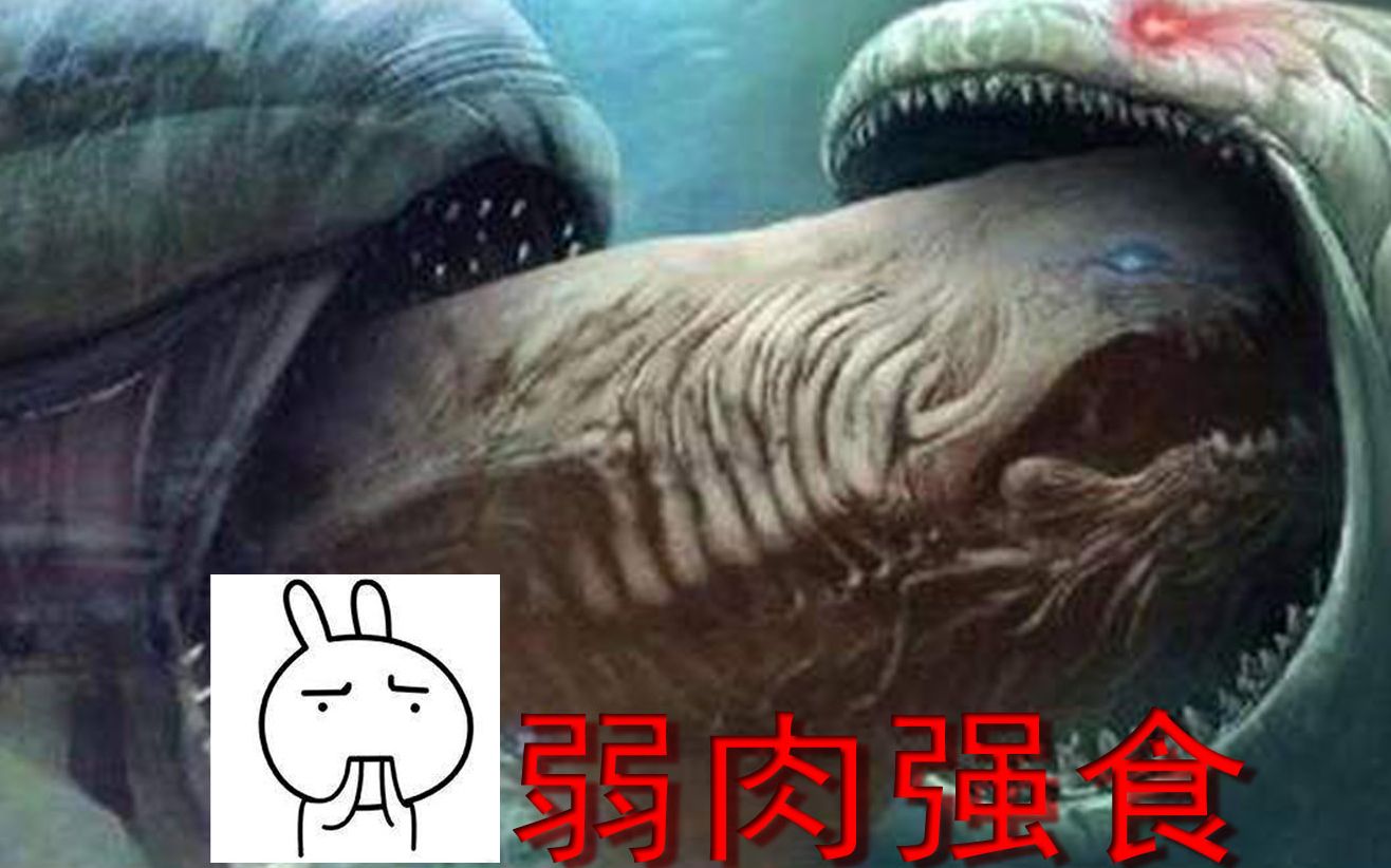 朋朋大鱼吃小鱼3d弱肉强食的世界啊