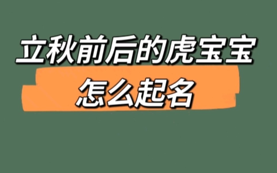 立秋前后的虎宝宝怎么起名哔哩哔哩bilibili