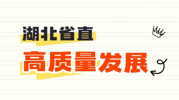 遴选干货|湖北省长答记者问:高质量发展 向上遴选|高质量发展|遴选备考哔哩哔哩bilibili