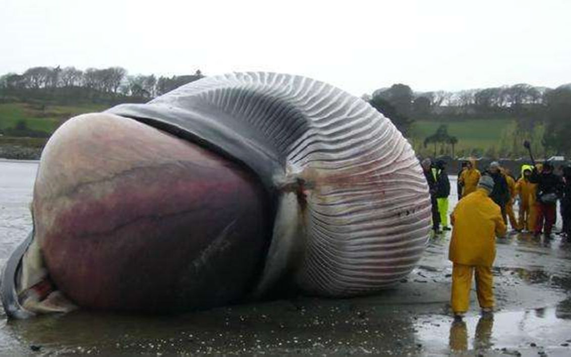 爆炸威力还堪比手榴弹?原因其实很简单