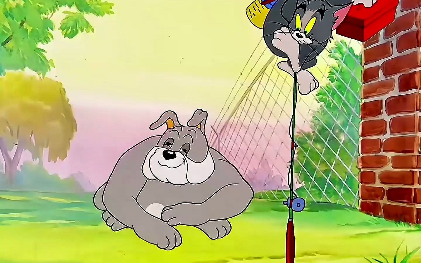 防止抑郁 "又菜又爱玩的汤姆猫vs武力值拉满的斯派克"#猫和老鼠 #治愈