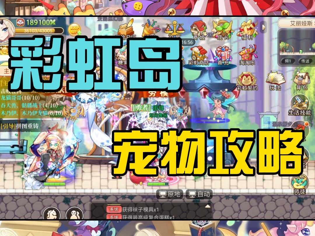 彩虹岛怀旧手游:宠物玩法详细教程攻略来啦