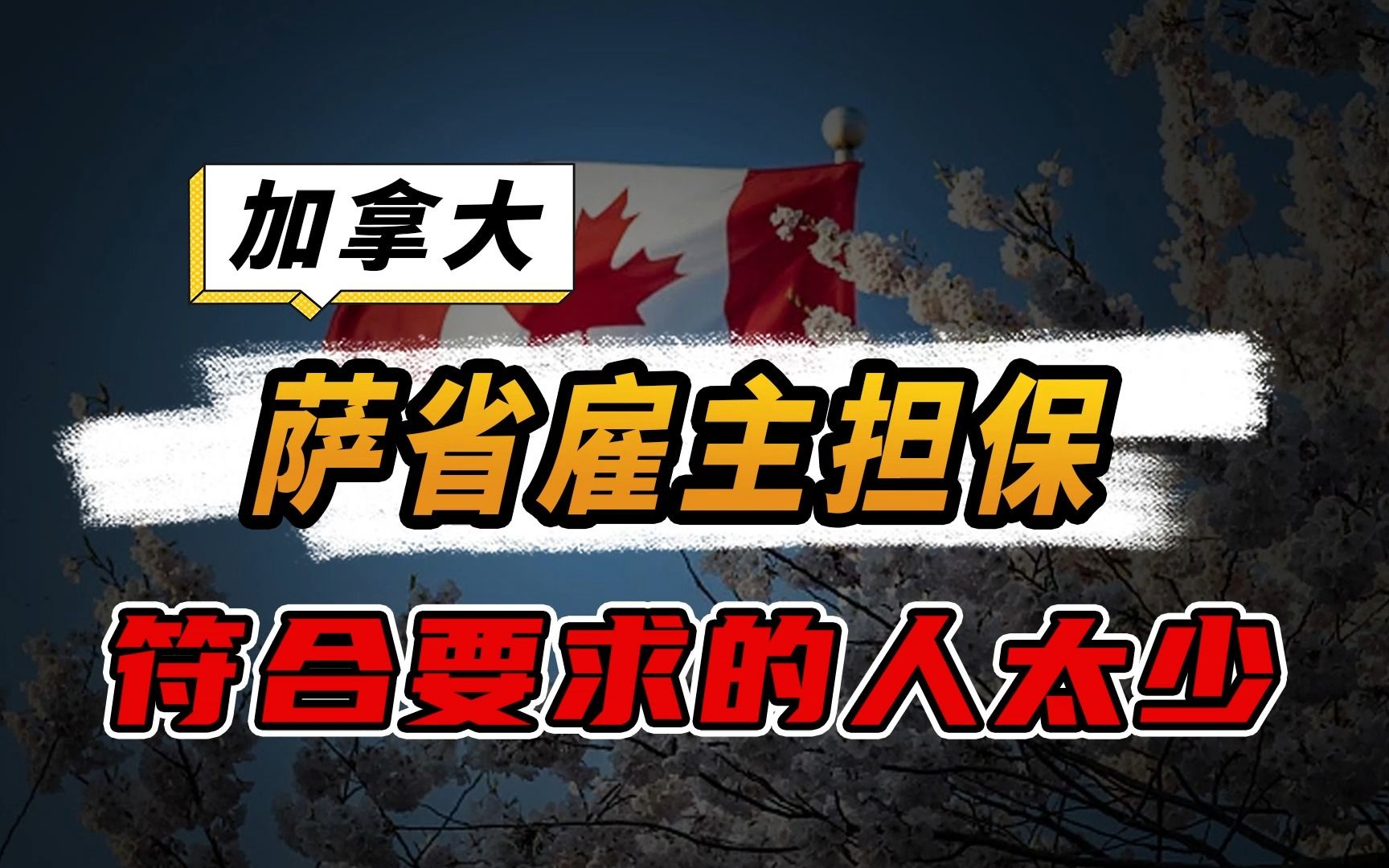 都说加拿大萨省雇主担保简单,但实际很多人都办不了!哔哩哔哩bilibili