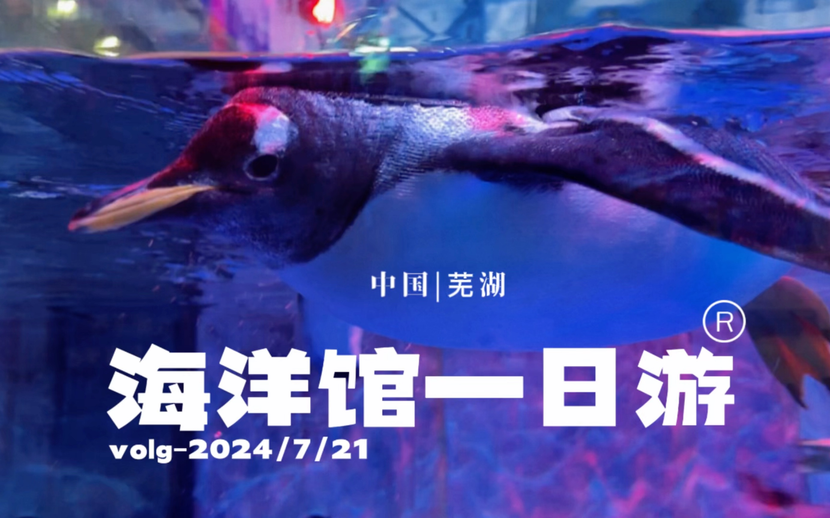 又是给自己的放松时间——芜湖大白鲸海洋公园