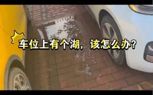 Download Video: 车位上有个湖？怎么上车？宝骏云朵告诉你