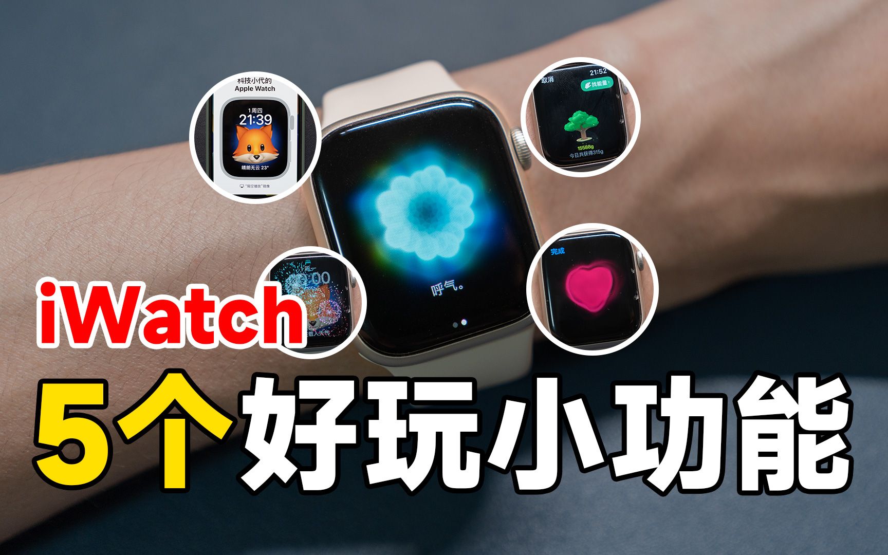 5个Apple Watch超级好玩的小功能!烟花、收能量、情侣互动、投屏 | 科技小代哔哩哔哩bilibili