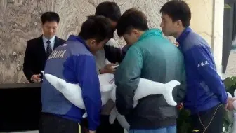 【国乒造访三亚警备区】樊振东唱粤语歌王皓用盆打球张继科实力龙吹