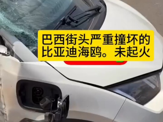 巴西街头严重撞坏的比亚迪海鸥.未起火,侧气囊正常弹出.哔哩哔哩bilibili