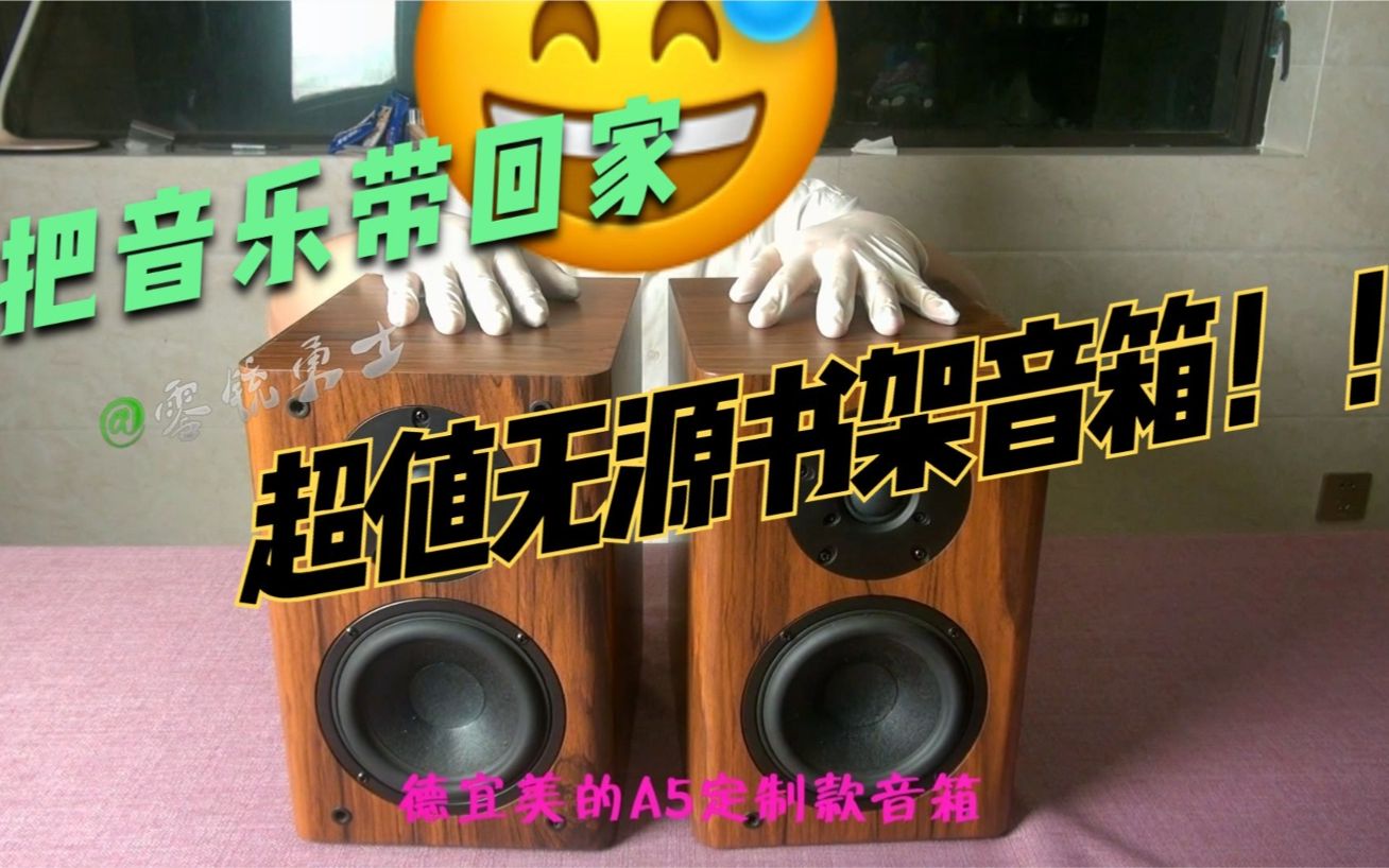 太惊喜的声音!精品智造国货!!刚入手不久的德宜美A5无源书架音箱!超值之选!!哔哩哔哩bilibili