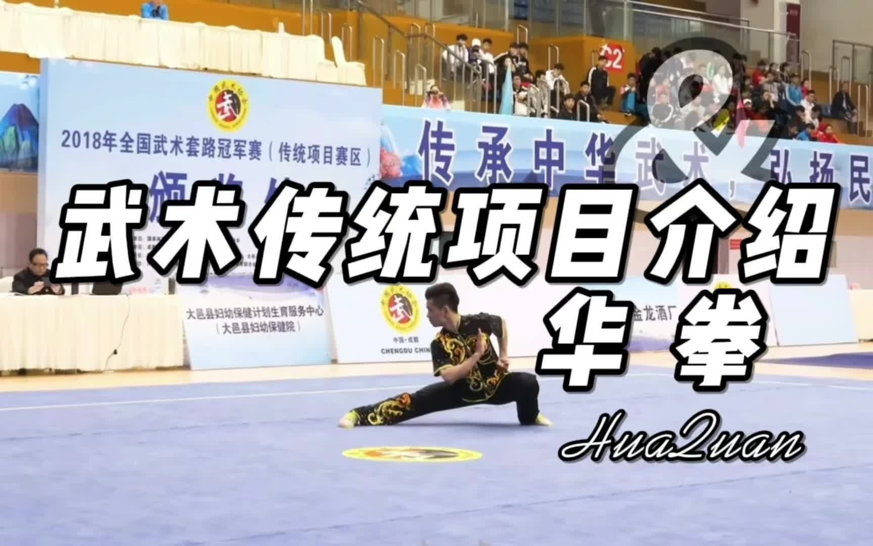 [图]武术传统项目介绍-华拳