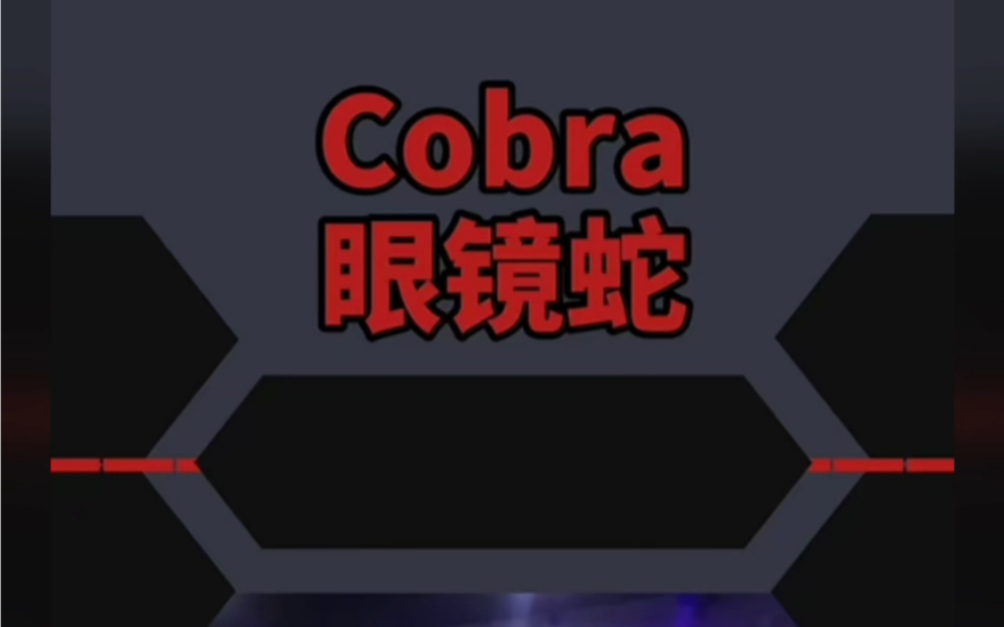 我一直看不懂cobra和眼镜蛇有啥关系,直达我看到了这张图哔哩哔哩bilibili